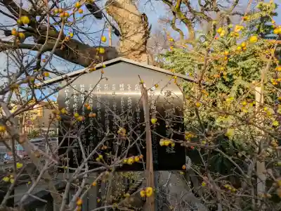 水堂須佐男神社の{uncategorized: "未分類", other: "その他", undefined: "問題あり", building: "その他建物", grave: "お墓", sacred_gate: "鳥居", guardian: "狛犬", statue: "像", buddha: "仏像", history: "歴史", nature: "自然", garden: "庭園", animal: "動物", pagoda: "塔", temizu: "手水舎", mountain_gate: "山門・神門", sanctuary: "本殿・本堂", subordinate: "末社・摂社", art: "芸術", scenery: "景色", jizo: "地蔵", ema: "絵馬", goshuin: "御朱印", omikuji: "おみくじ", items: "授与品その他", amulet: "お守り", goshuincho: "御朱印帳", eats: "食事", festival: "お祭り", votive_dance: "神楽", shichigosan: "七五三参", wedding: "結婚式", experience: "体験その他", initially: "初詣", around: "周辺", anti_infection: "感染症対策"}