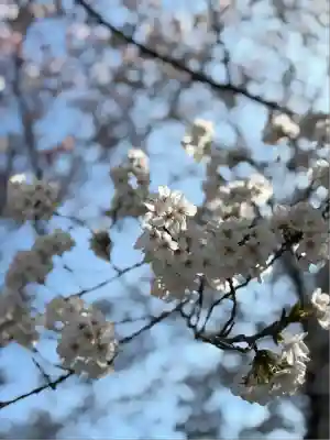 熊野本宮大社(和歌山県)