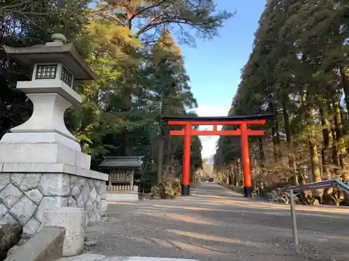 霧島神宮の鳥居