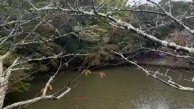 安房神社(千葉県)