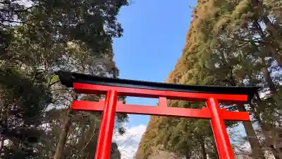 霧島神宮の{uncategorized: "未分類", other: "その他", undefined: "問題あり", building: "その他建物", grave: "お墓", sacred_gate: "鳥居", guardian: "狛犬", statue: "像", buddha: "仏像", history: "歴史", nature: "自然", garden: "庭園", animal: "動物", pagoda: "塔", temizu: "手水舎", mountain_gate: "山門・神門", sanctuary: "本殿・本堂", subordinate: "末社・摂社", art: "芸術", scenery: "景色", jizo: "地蔵", ema: "絵馬", goshuin: "御朱印", omikuji: "おみくじ", items: "授与品その他", amulet: "お守り", goshuincho: "御朱印帳", eats: "食事", festival: "お祭り", votive_dance: "神楽", shichigosan: "七五三参", wedding: "結婚式", experience: "体験その他", initially: "初詣", around: "周辺", anti_infection: "感染症対策"}