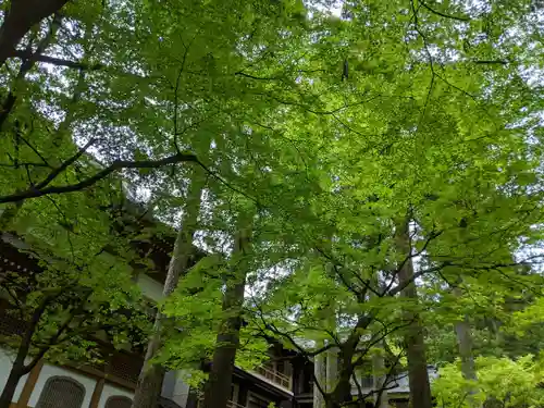 永平寺(福井県)