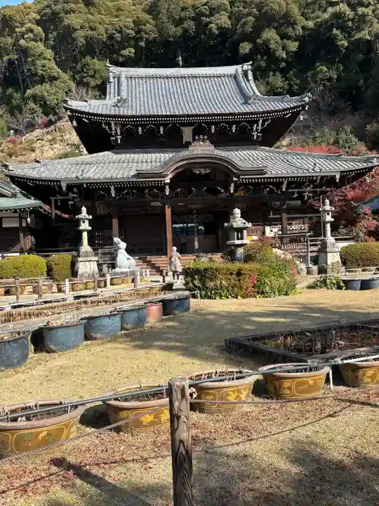三室戸寺(京都府)