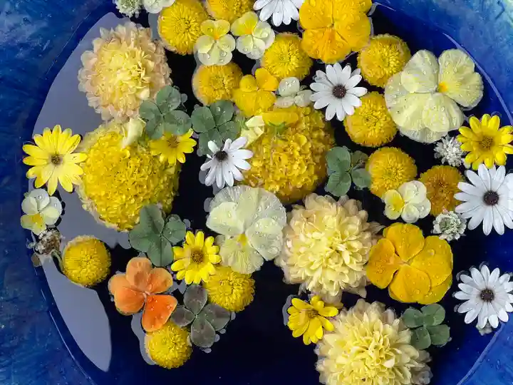 川越八幡宮(埼玉県)