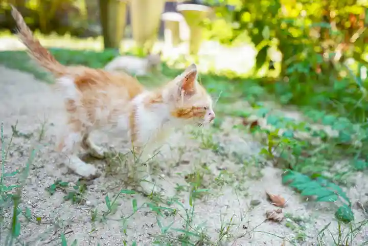 東隆寺(山口県)
