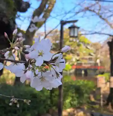三嶋大社(静岡県)