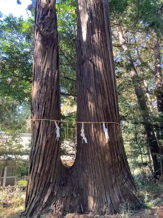 側高神社(千葉県)