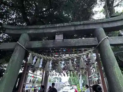 川越氷川神社(埼玉県)