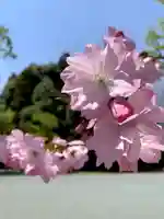 滑川神社 - 仕事と子どもの守り神(福島県)