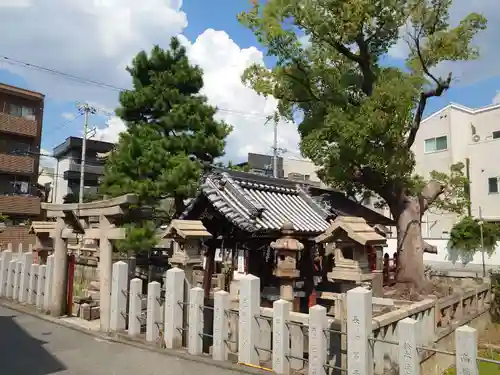 浅澤社（住吉大社境外末社）の鳥居