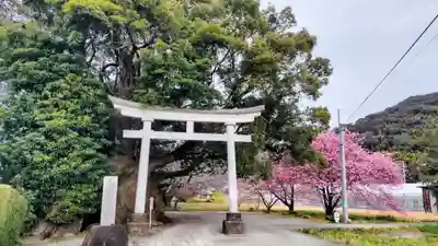 川津来宮神社(静岡県)