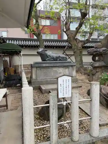 大阪天満宮の狛犬