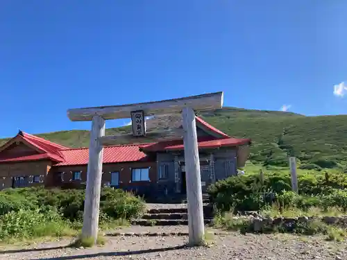 白山比咩神社　奥宮の鳥居