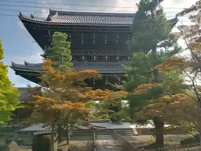 くろ谷 金戒光明寺(京都府)