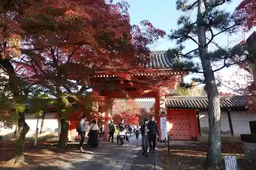 禅林寺（永観堂）(京都府)