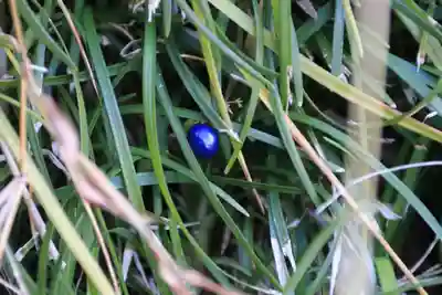 大六天麻王神社(福島県)