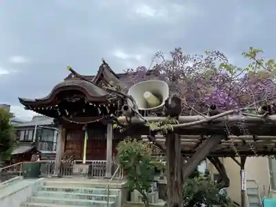 安方神社の本殿・本堂