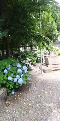石坐神社の自然
