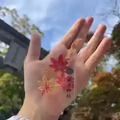 彌彦神社　(伊夜日子神社)(北海道)