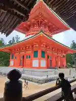 根本大塔 高野山金剛峯寺(和歌山県)