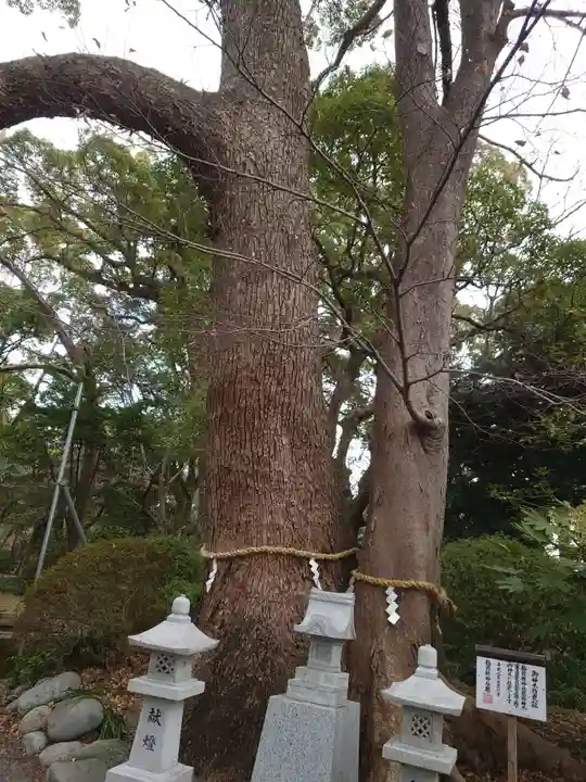米之宮浅間神社(静岡県)