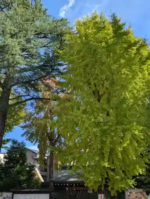 亀有香取神社(東京都)