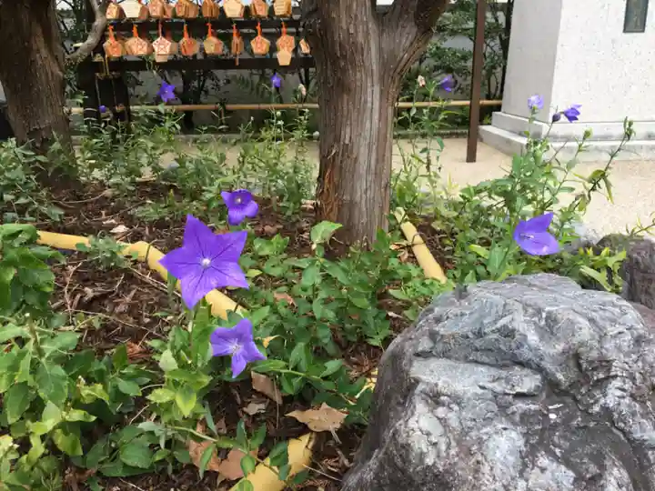 晴明神社の自然