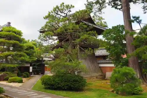 智恩寺(京都府)