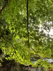 七座神社(秋田県)