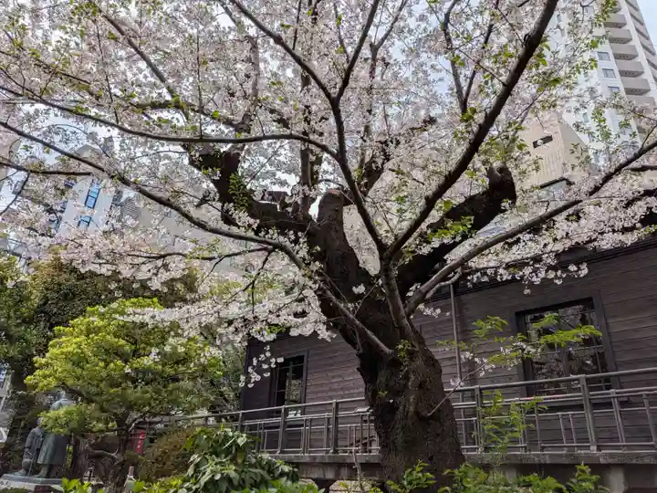 乃木神社(東京都)