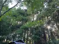 大宮温泉神社(栃木県)