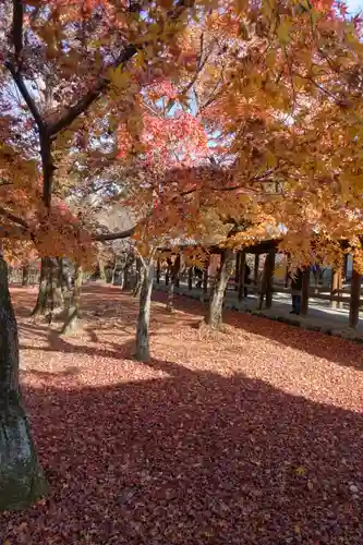 東福禅寺（東福寺）の庭園