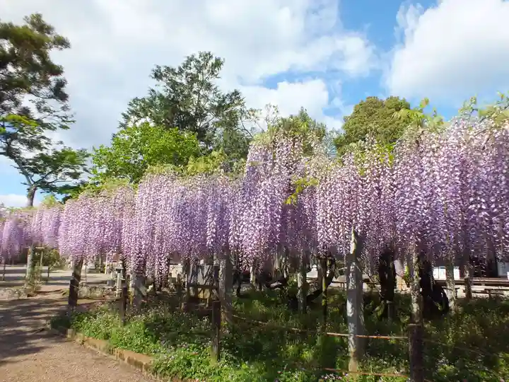 三大神社の自然