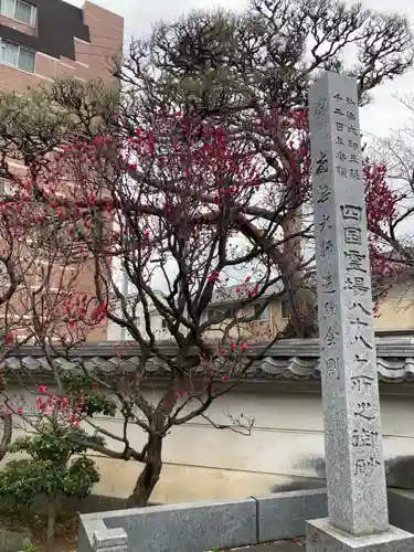 薬師院(神奈川県)