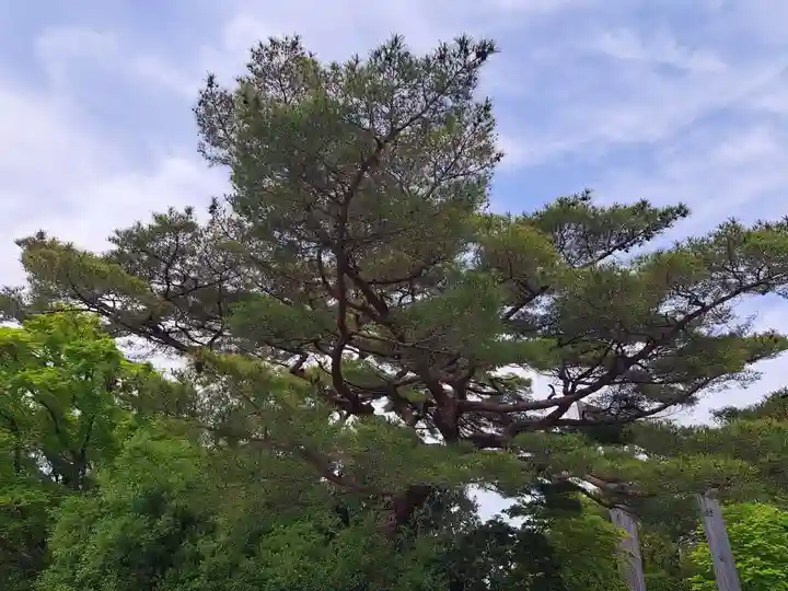 伊勢神宮内宮(皇大神宮)の自然