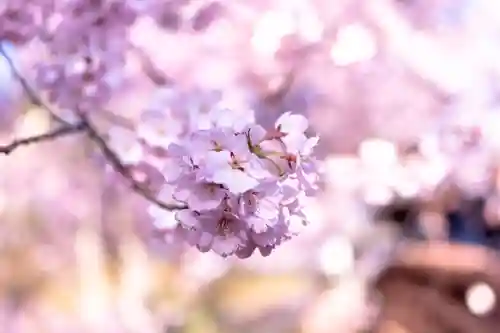 新城藤原神社(長野県)