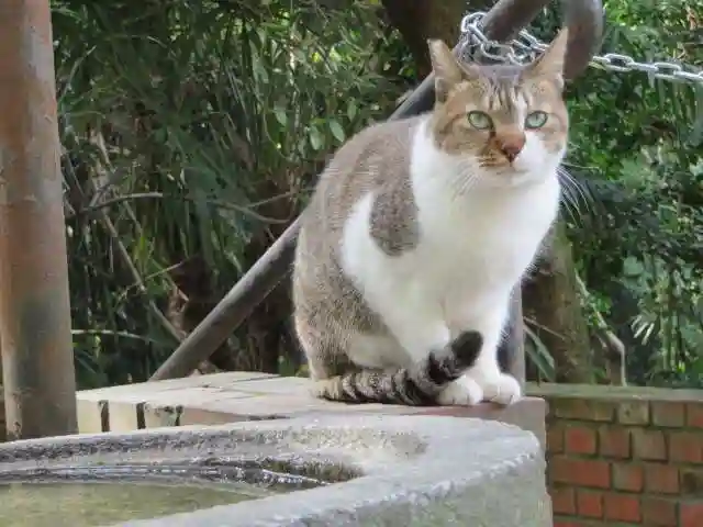 南禅寺(京都府)