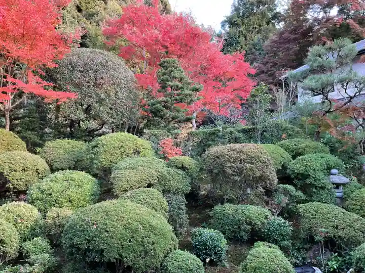 安楽寺(京都府)