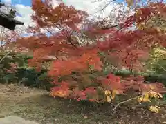 鷲峰寺(香川県)