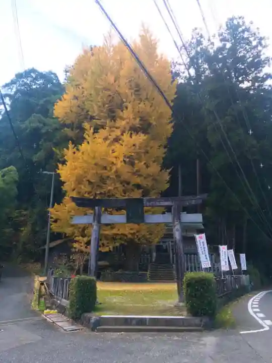 丹生神社の鳥居