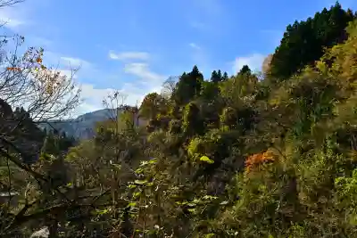 高龍神社(新潟県)
