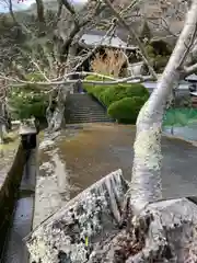 金剛城寺(兵庫県)