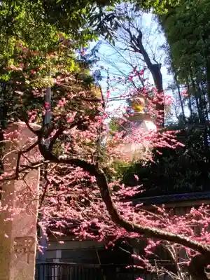 布多天神社(東京都)