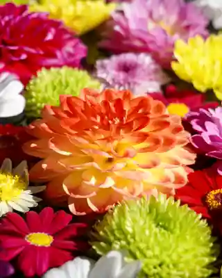 伊達神社の手水舎