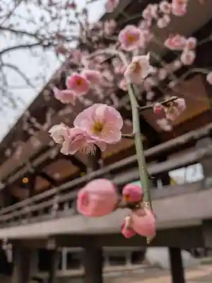 妙法寺(東京都)