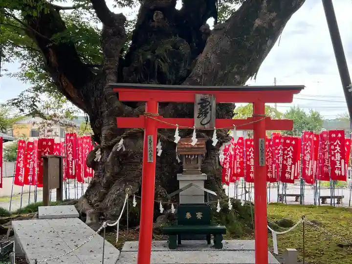 秩父今宮神社(埼玉県)