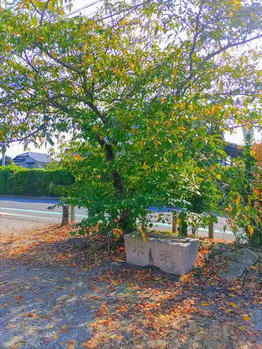 八龍社(目比)の手水舎