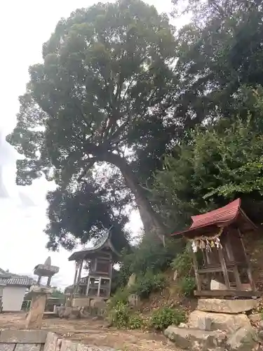 厳島神社(広島県)