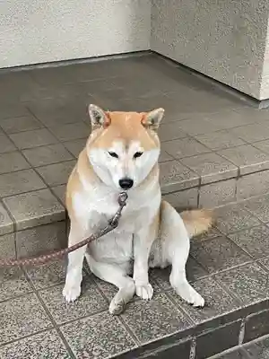 笠䅣稲荷神社(神奈川県)