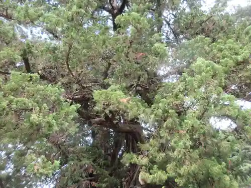 建長寺(神奈川県)